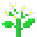 plant11.png