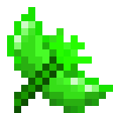 plant12.png