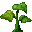 plant15.png