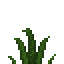 plant18.png