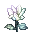 plant19.png