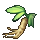 plant20.png