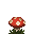 plant4.png
