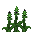 plant5.png
