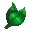 plant6.png