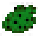 plant9.png